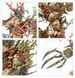 Набір мініатюр SYLVANETH: STRONGROOT GROVE 99120204056 фото 12
