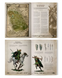 Альманах ARCANE JOURNAL: WOOD ELF REALMS 60042799013 фото 2