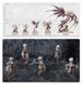 Набор миниатюр AGE OF SIGMAR: DAUGHTERS OF KHAINE - SCATHBORN COVEN 99120212051 фото 14