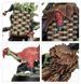 Набор миниатюр WARHAMMER UNDERWORLDS - BORGIT'S BEASTGRABBAZ 99120709001 фото 8
